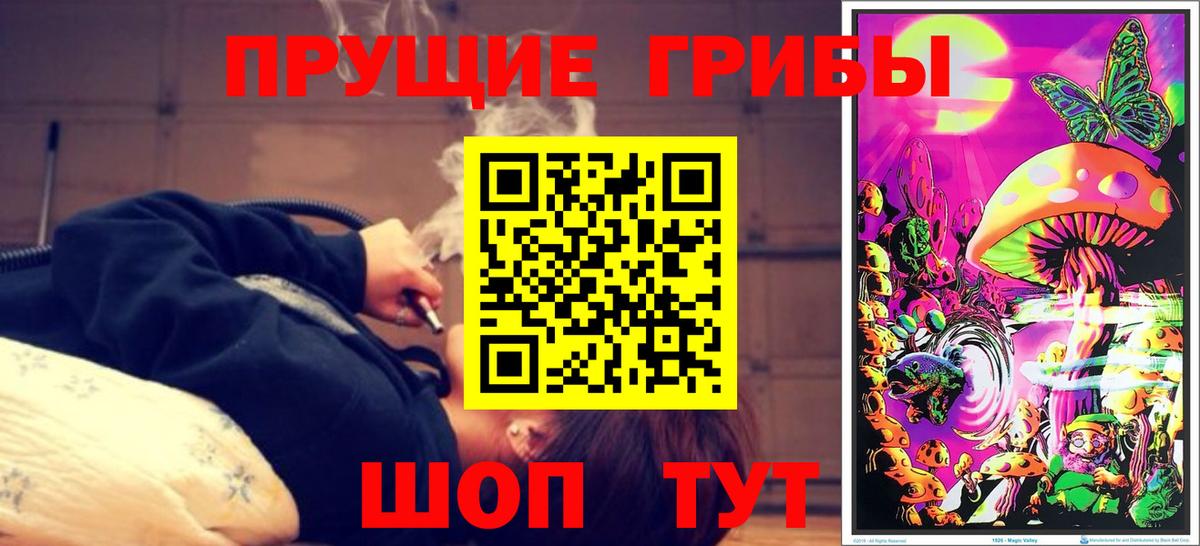 Псилоцибиновые грибы GOLDEN TEACHER Советская Гавань